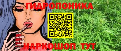 сатива Апшеронск