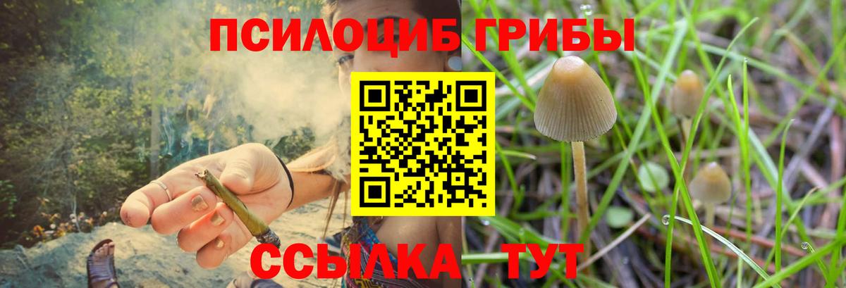 Псилоцибиновые грибы Magic Shrooms  Вход с VPN  Белорецк  Псилоцибиновые грибы Psilocybe 